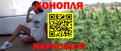 дживик Партизанск