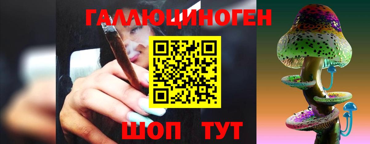 купить закладку  Псилоцибиновые грибы прущие грибы  Вход с VPN  Свободный 